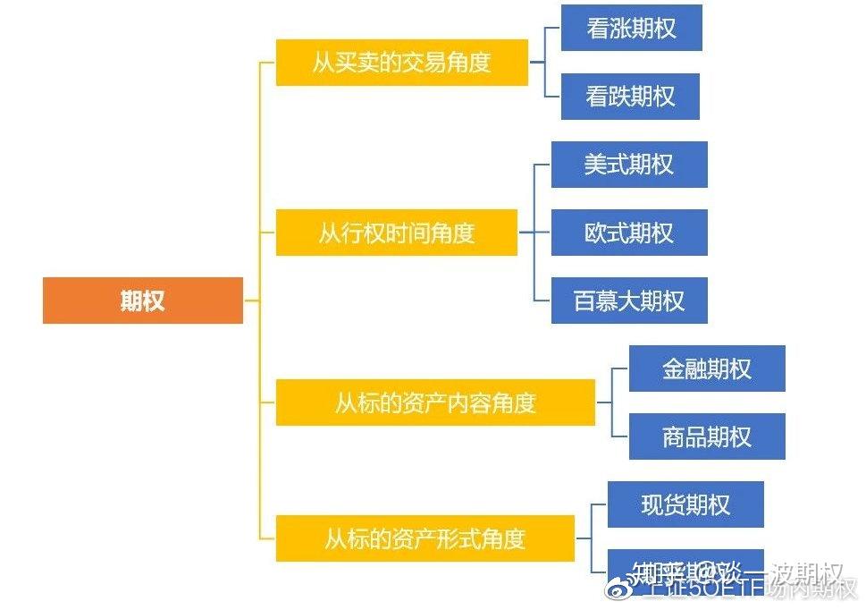 期权模型应用，探索金融衍生品市场的关键工具