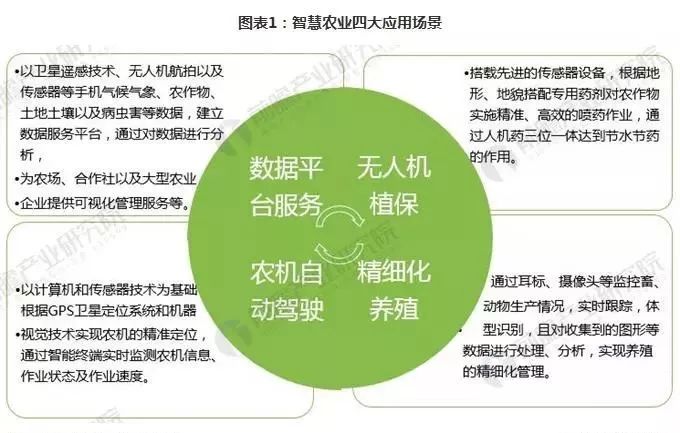 农业数据模型，引领农业现代化新篇章