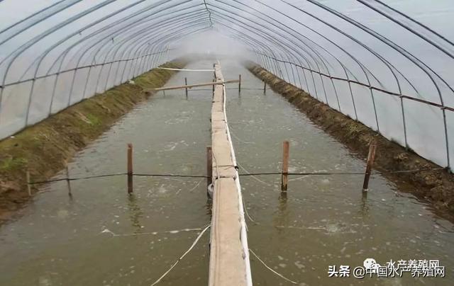 工厂化养殖与大棚技术，现代养殖业的革新之路