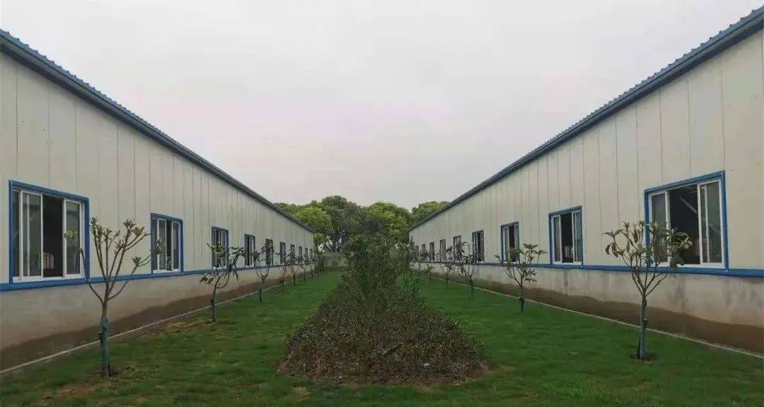 古木纹工程案例，传承自然之美