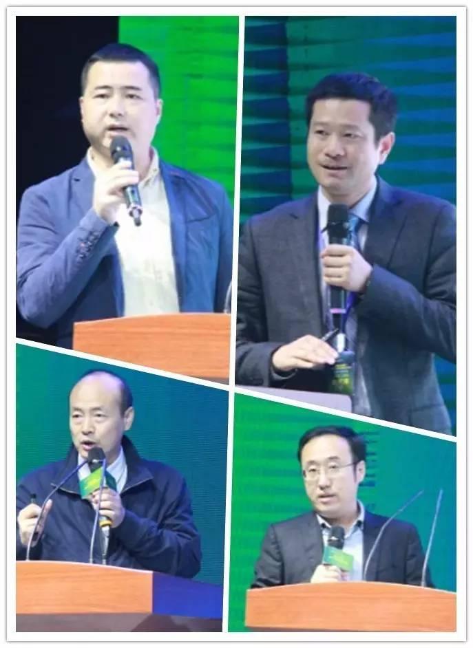 华盖创投基金，引领创新投资，塑造未来领袖企业