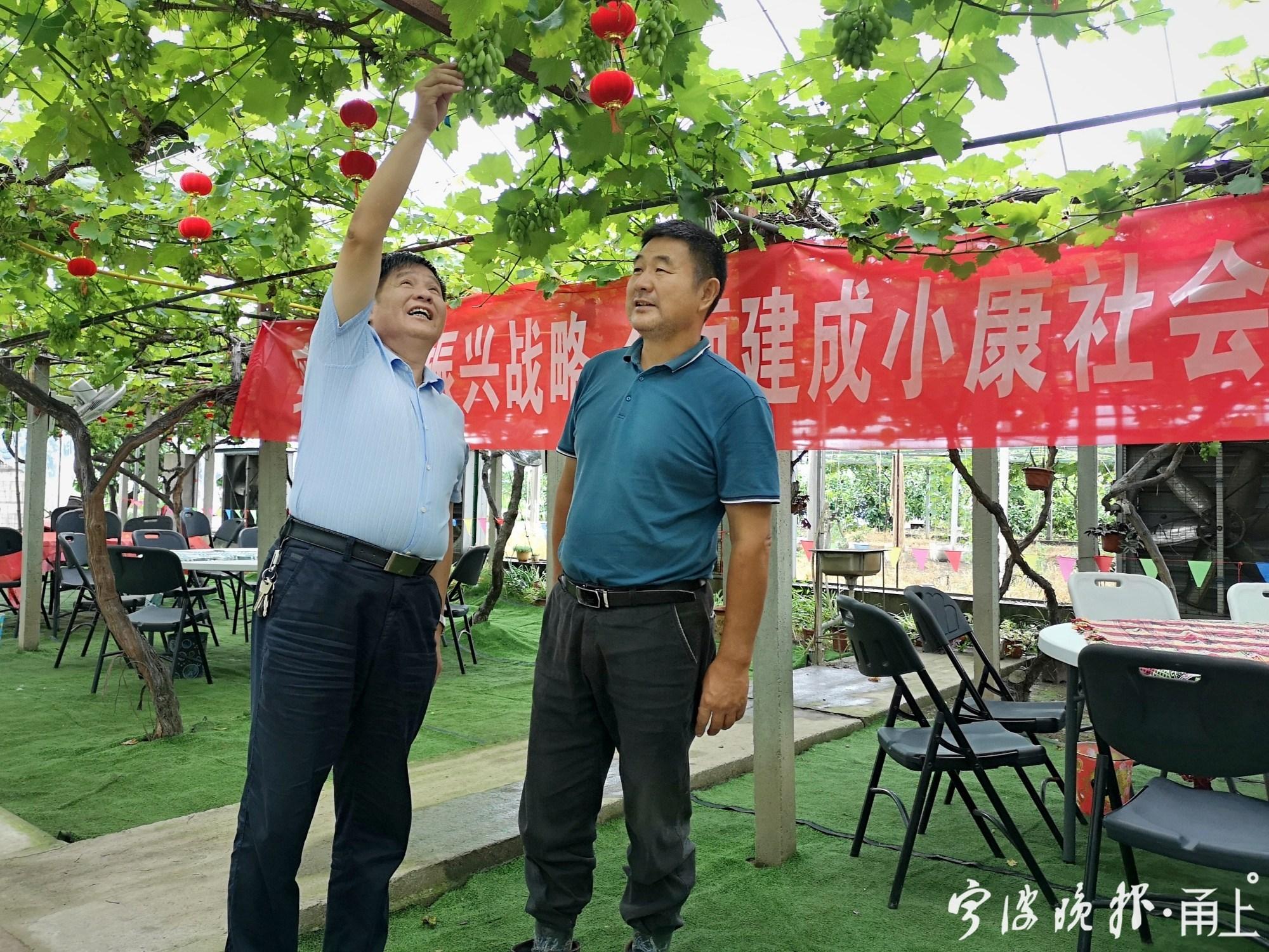 宁波大棚养虾，探索现代水产养殖新模式