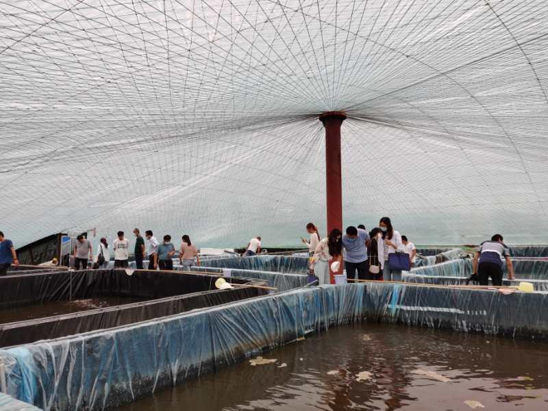 对虾养殖大棚建造，技术、管理与创新