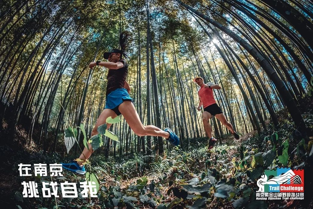 南京紫金山越野跑，挑战自然，超越自我