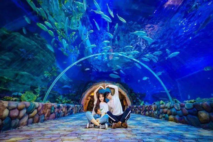 黄金渔村与快眼，探索魅力海洋的奇妙之旅