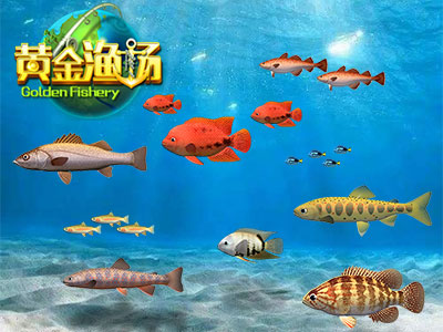 黄金渔场2015，梦想与现实交织的海洋乐园