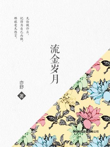 黄金岁月小说，岁月流转中的故事魅力