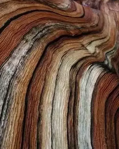 贵州木纹特点，自然之美与艺术之韵的融合