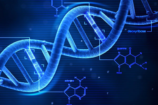 GNSS测量技术，现代定位与测量的革新力量