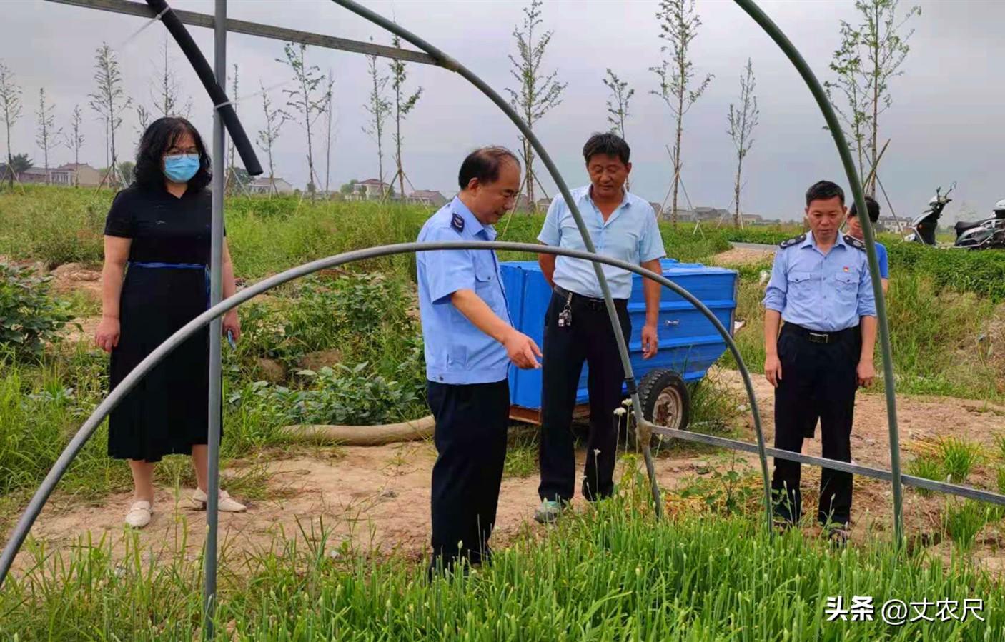 开局五个农民，手游新纪元