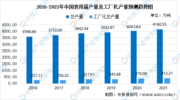 关于6411工厂的待遇分析