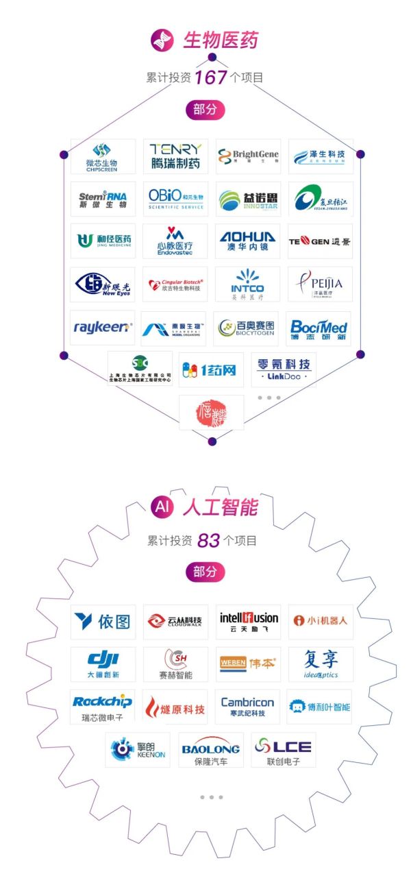 上海十大创投公司，引领创新与发展的力量