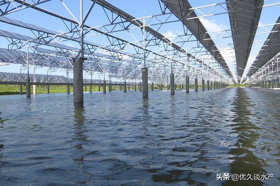 东北鱼池大棚，现代渔业的新篇章