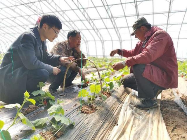 海参养殖大棚维修，技术、管理与挑战