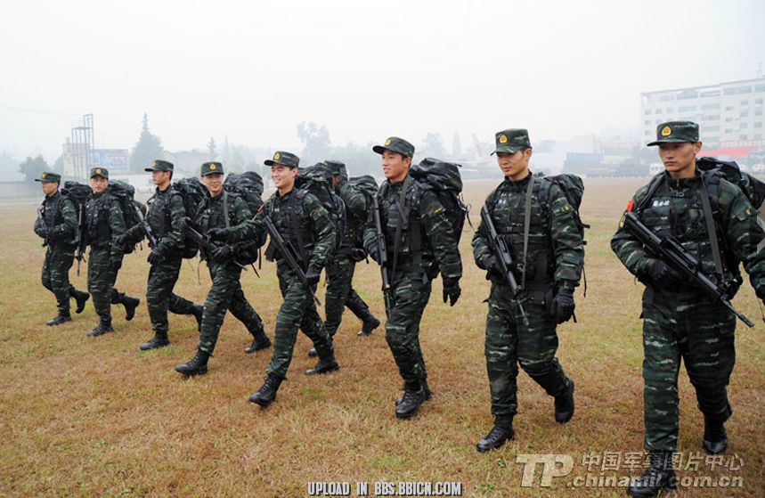 武警特战部队的待遇，荣誉与责任的体现