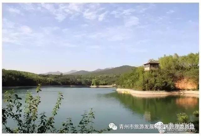 黑龙江奥巴马木纹，自然之美与艺术之韵的融合