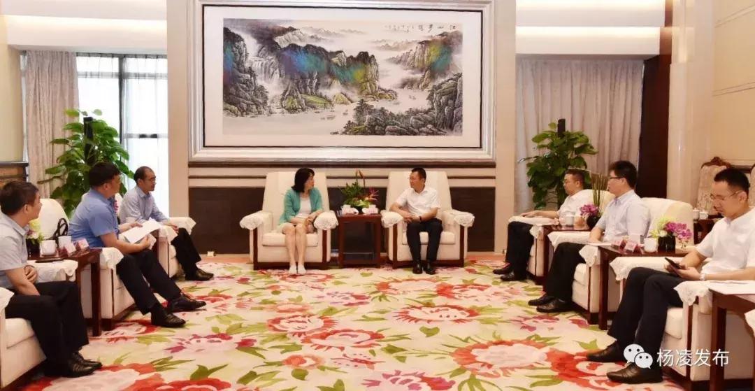 国内著名创投基金，引领创新与发展的力量