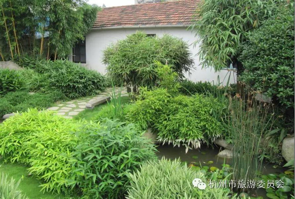 北京可种耐寒竹子品种