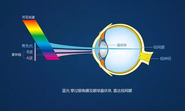 如何识别防蓝光眼镜的真假——全方位检测指南