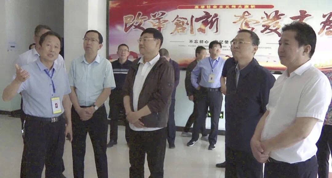 围墙绿化品种的选择与实践