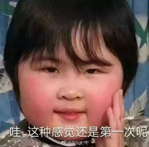 玉子的表情包，萌态万千，情感传递的利器