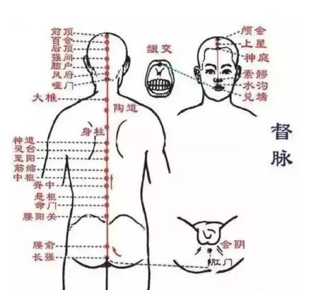 求购一本阴阳一调百病消，探寻中医养生之道的奥秘