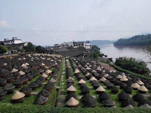四川自动门厂家哪家好，深度解析与比较