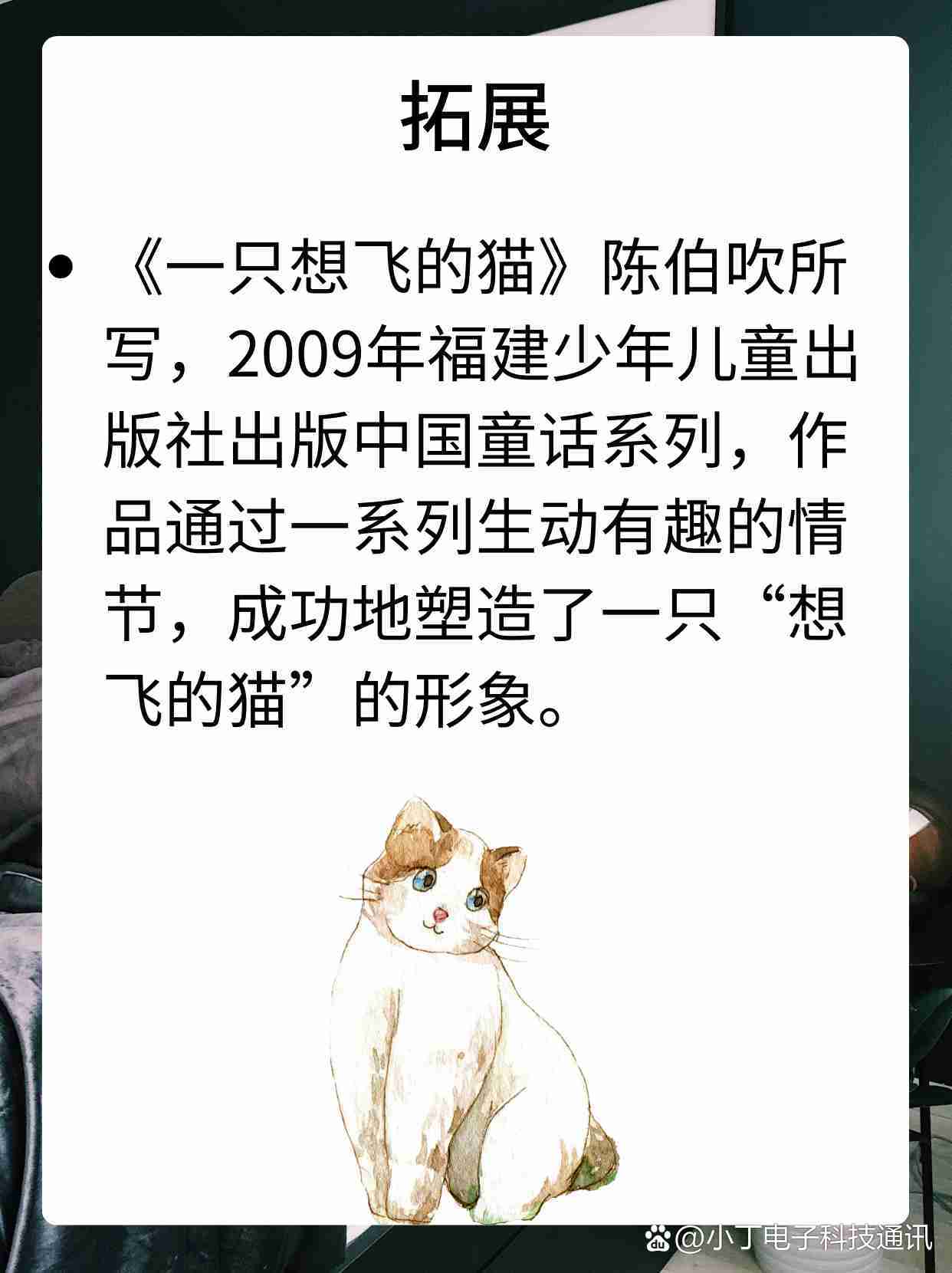 一只想飞的猫与一本价格，探寻梦想与价值的交织