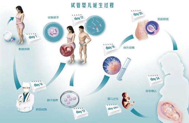 试管婴儿技术中的取卵数量问题，探讨取卵数量少的原因与解决方案