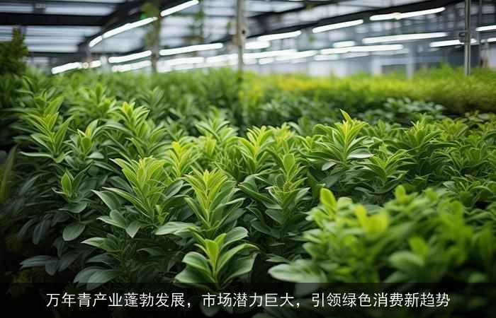 深圳苗木新品种，引领绿色革命的前沿力量