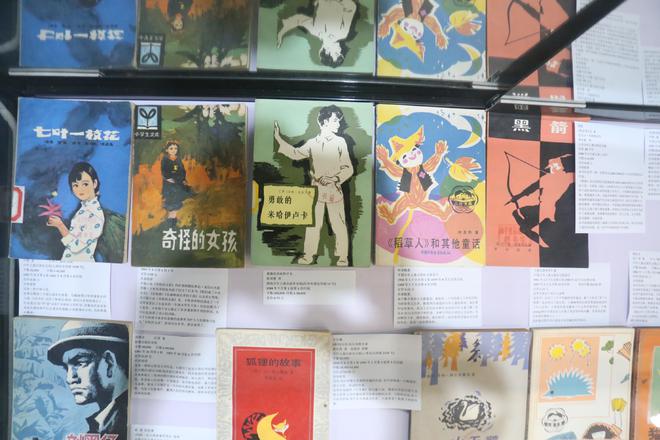 寻找一本书芙洛，一段跨越时空的阅读之旅
