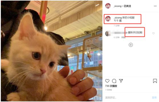 日常动漫校长表情包，网络文化的新宠