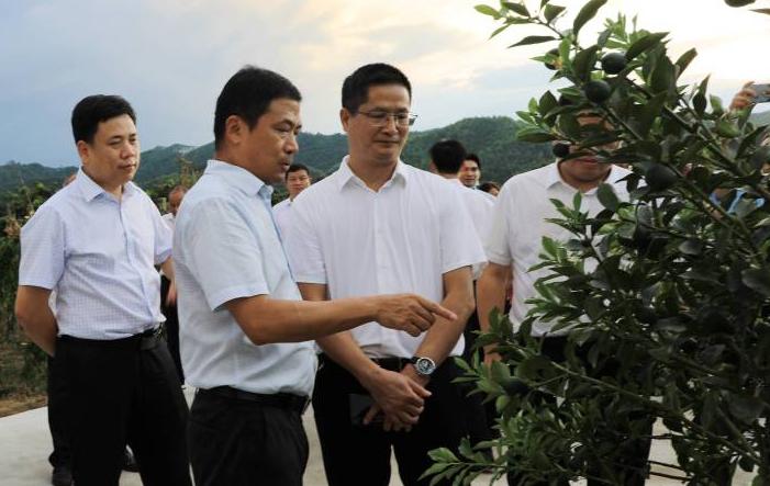 如何读一本专业书，深度挖掘与高效理解