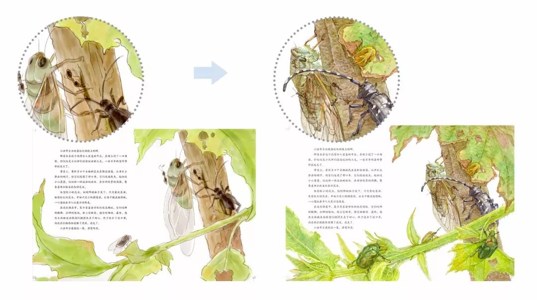 昆虫记，一本揭示微观世界奥秘的书籍