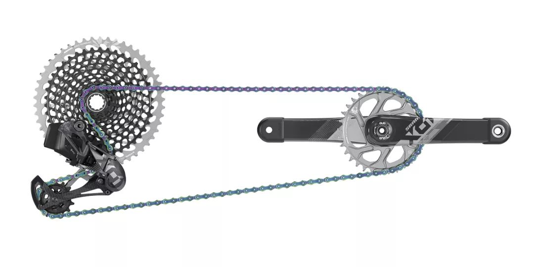 Campagnolo后拨拆解详解
