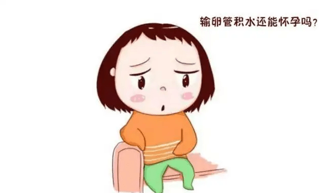 取卵后为什么要多喝水