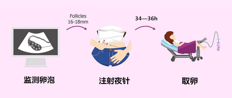 2025年6月2日 第2页