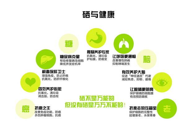 轨迹回放图标，解读其在现代科技中的功能与意义
