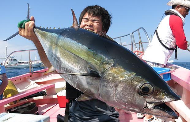 鲣鱼一本钓，深度探索海洋钓鱼的魅力