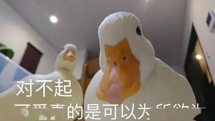 吸脑髓表情包，网络时代的文化新宠