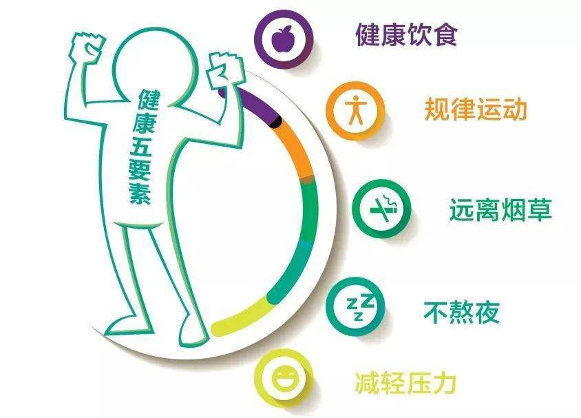 玛斯特健身，塑造健康生活的力量之源