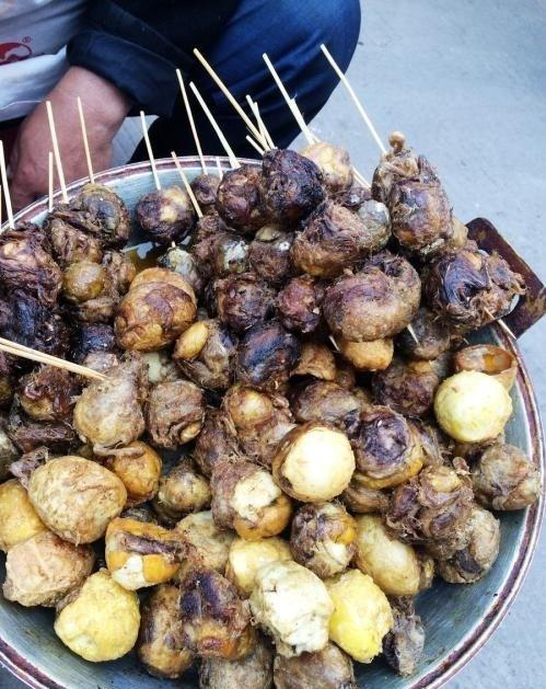 什么是毛蛋花
