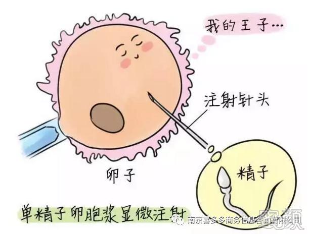 关于试管婴儿移植，取卵后的第几天是最佳移植时机？