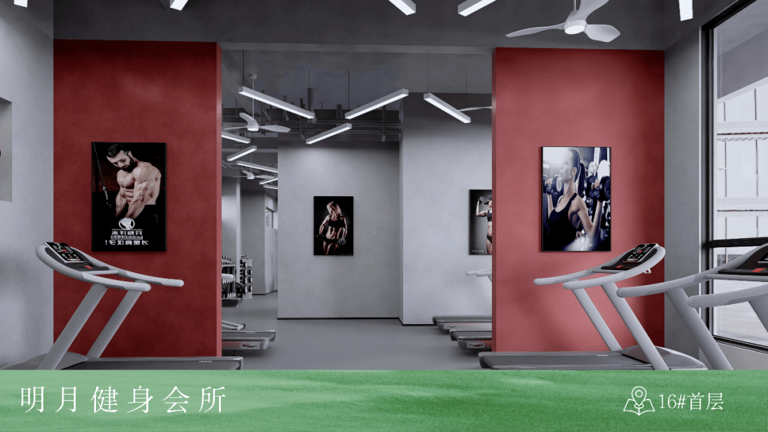 金鳞健身，塑造健康生活的力量之源