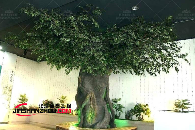 榕树品种繁多，图片欣赏