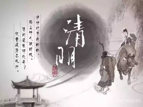 实瞳与真假之间的探索