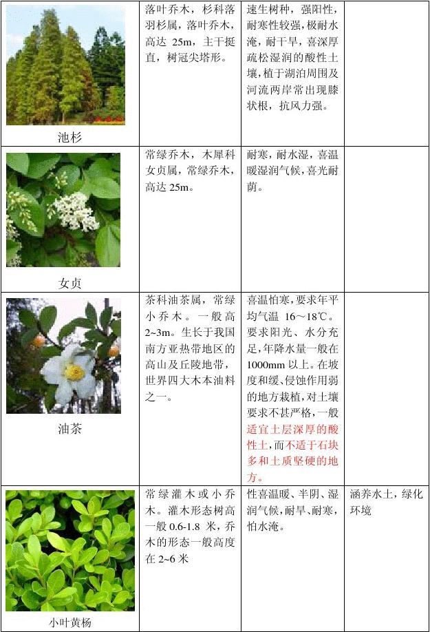植物品种的概念及特点