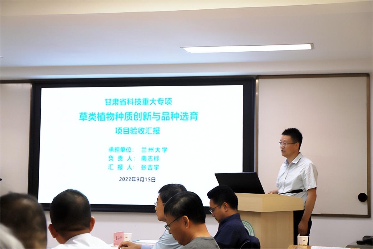 绿化用草类品种