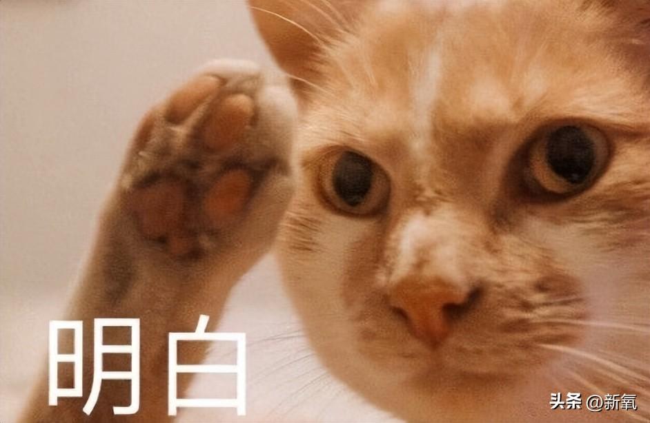 面对取卵前的发烧，应对策略与注意事项