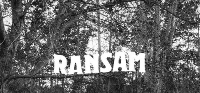 关于Ranban真假的探讨
